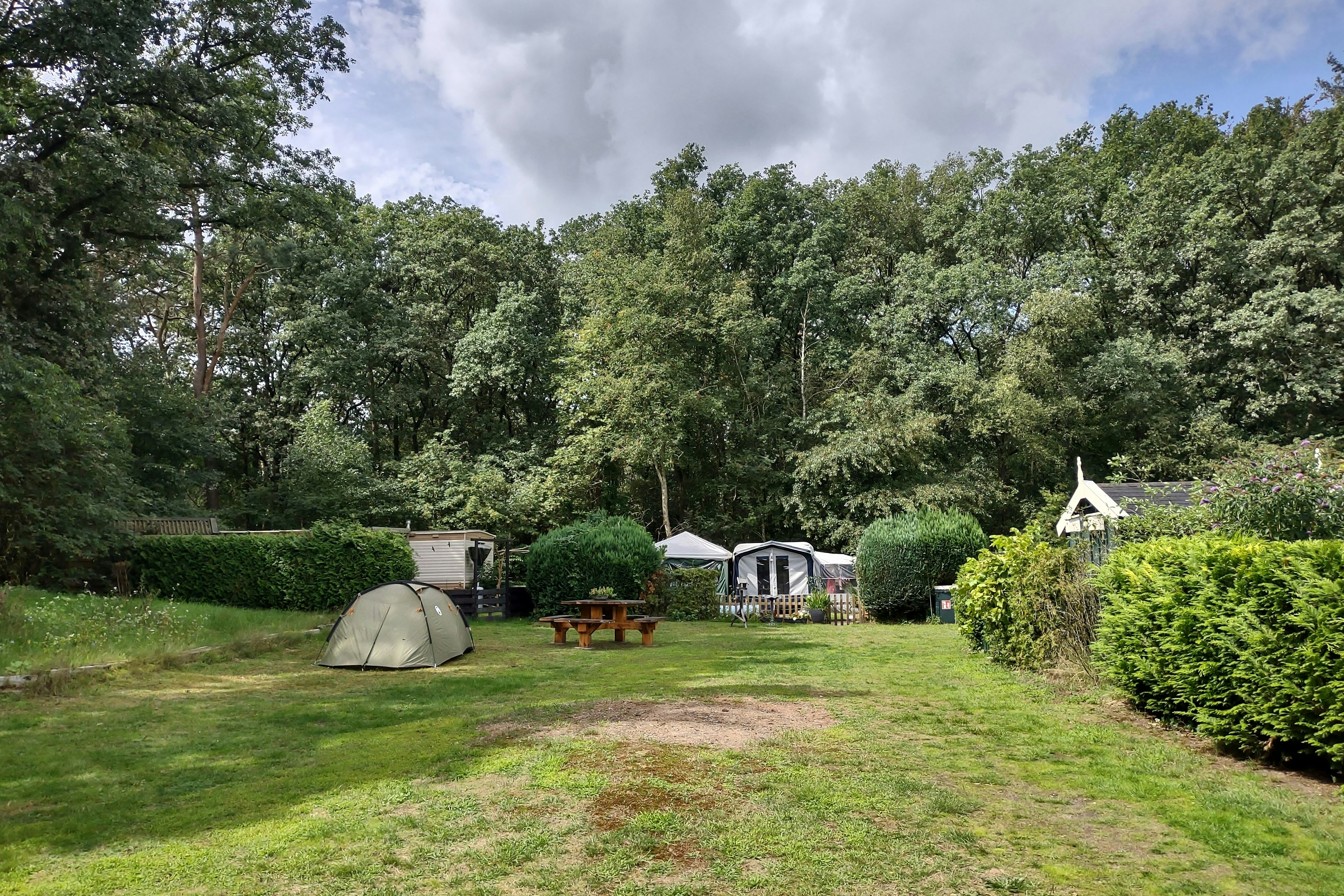 Camping De Bosrand - Standplätze auf Wiese auf dem Campingplatz