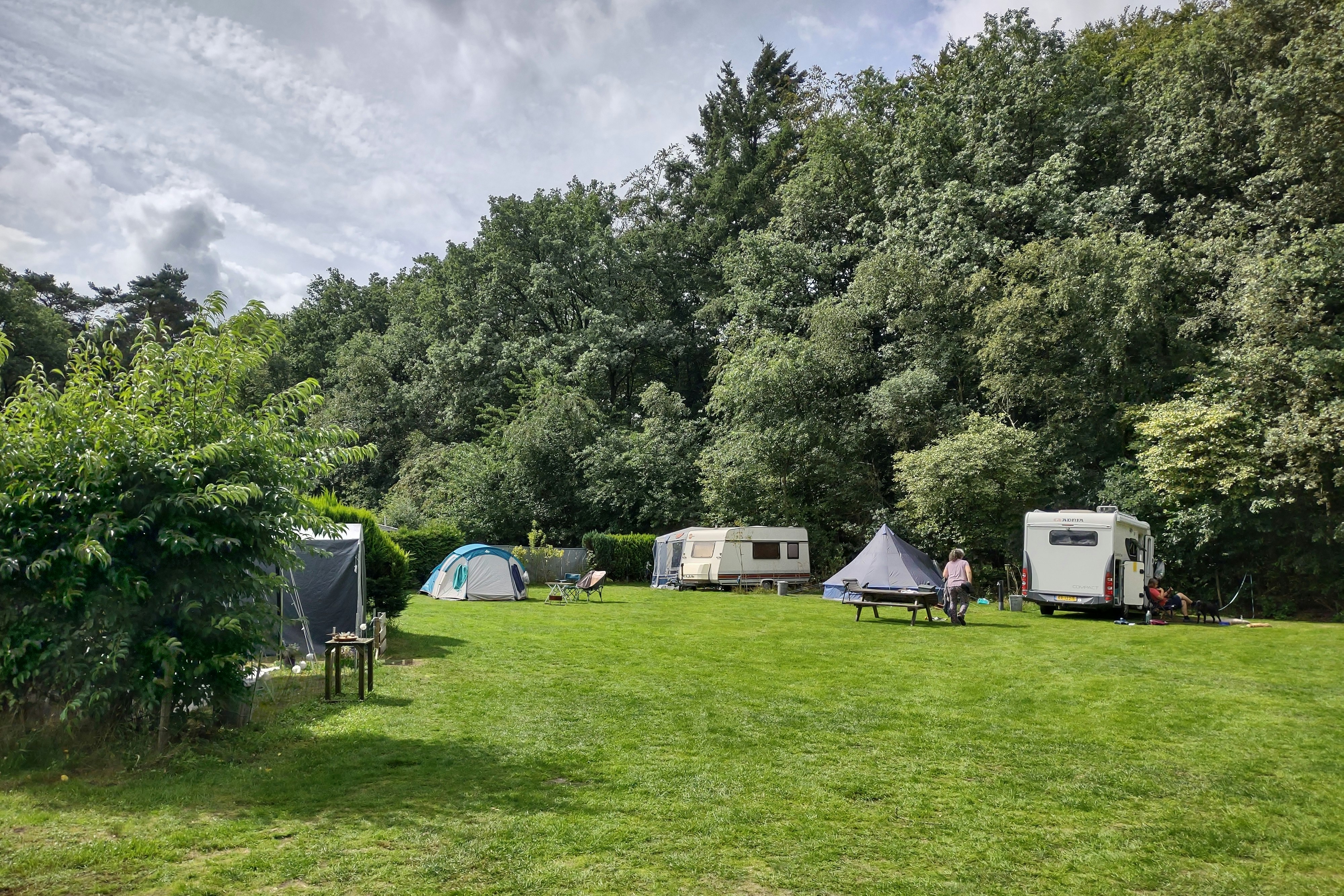 Camping De Bosrand - Standplätze auf dem Campingplatz