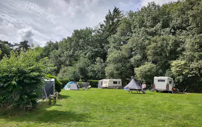 Camping De Bosrand