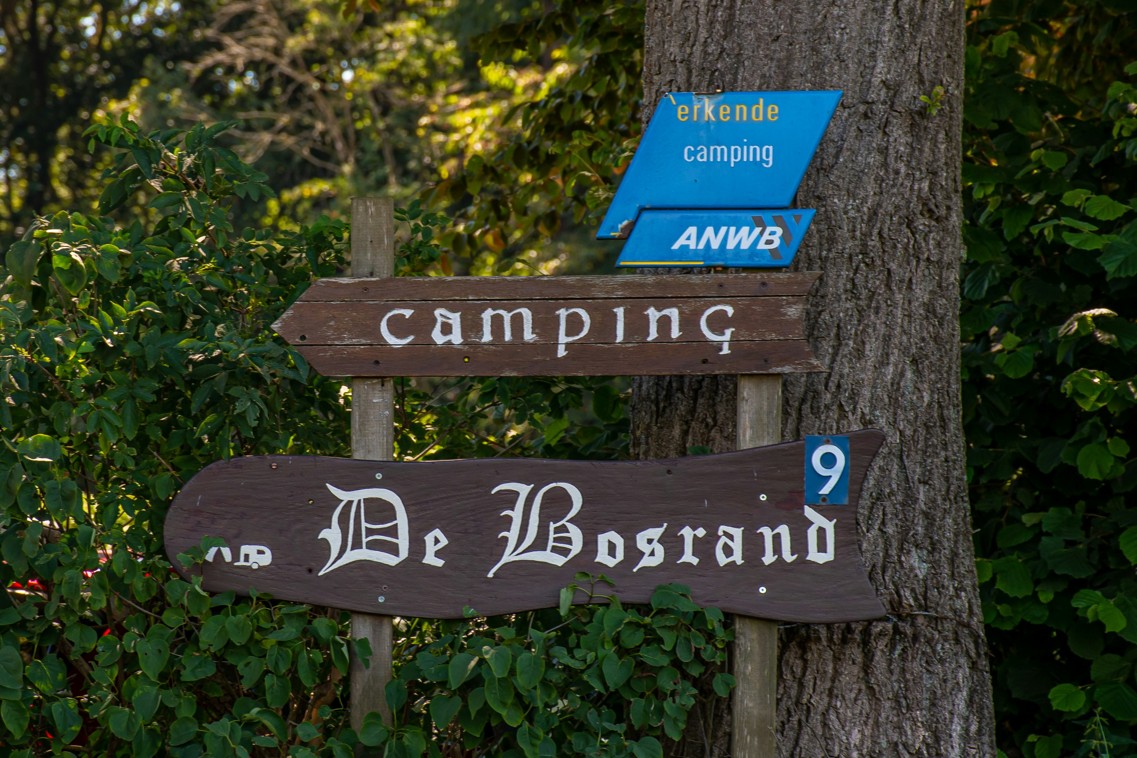 Camping De Bosrand - Wegweiser