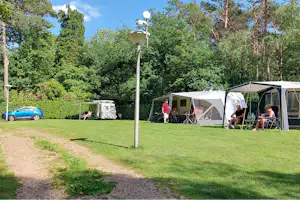 Campingplatz mit mehreren Zelten und Wohnwagen auf einer Rasenfläche, Weg zwischen den Stellplätzen, Bäume und Laternen.