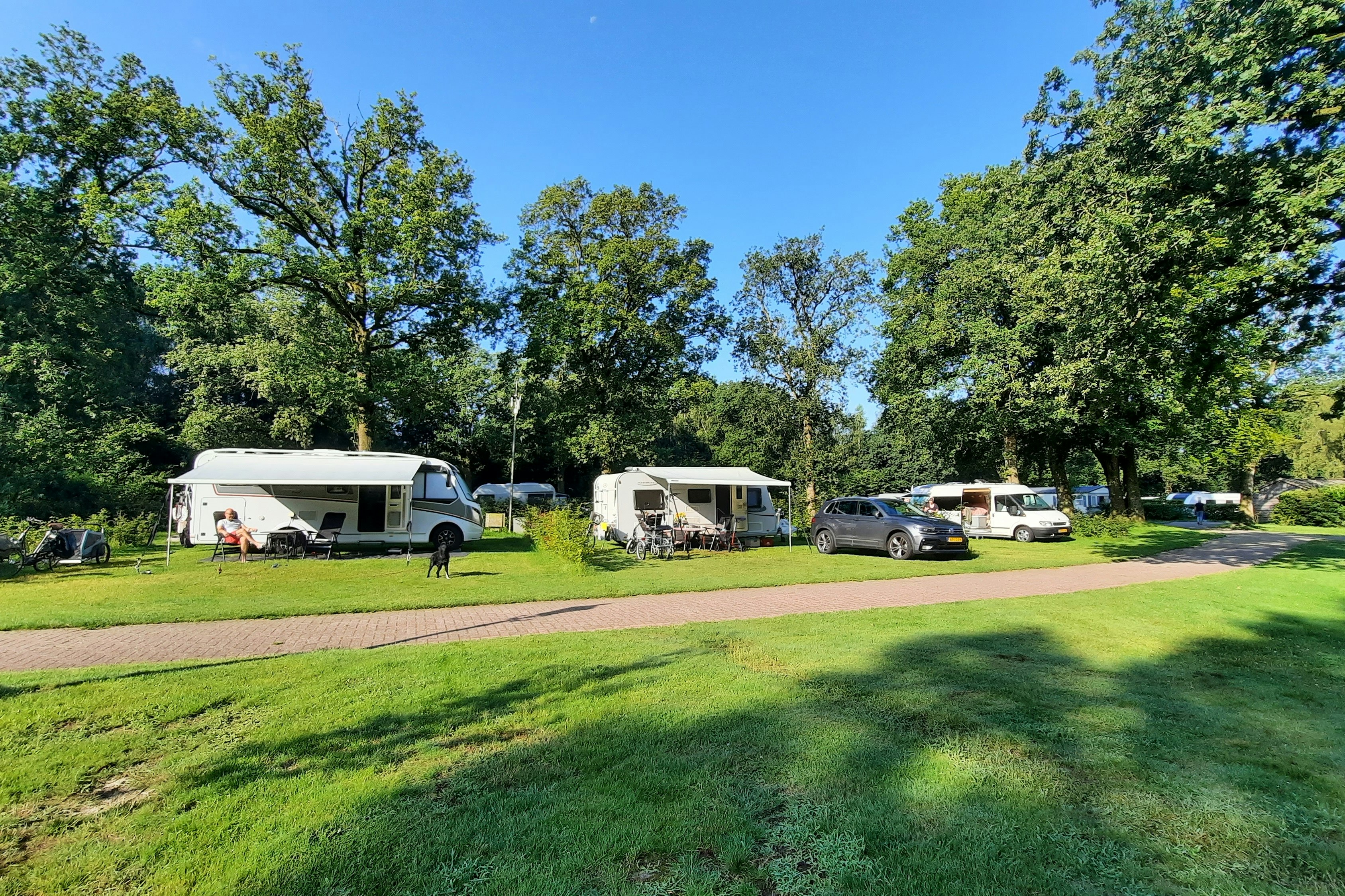 Camping De Bosrand  Recreatiepark de Bosrand - Wohnmobil- und Wohnwagenstandplätze auf der Wiese