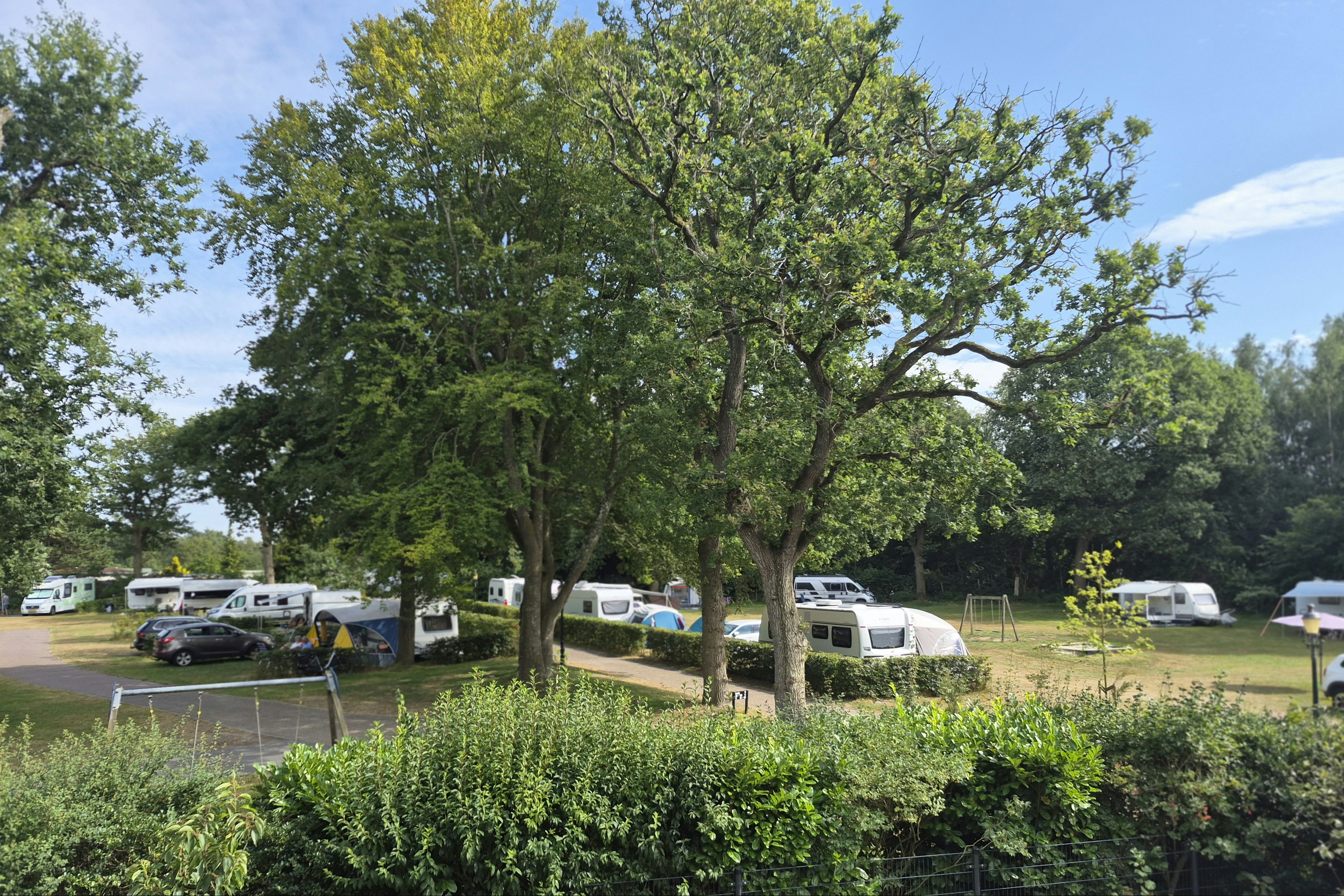 Wohnwagen und Campingbusse auf einem Stellplatz im Grünen, mit Bäumen und Hecken im Vordergrund.