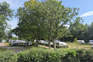 Wohnwagen und Campingbusse auf einem Stellplatz im Grünen, mit Bäumen und Hecken im Vordergrund.