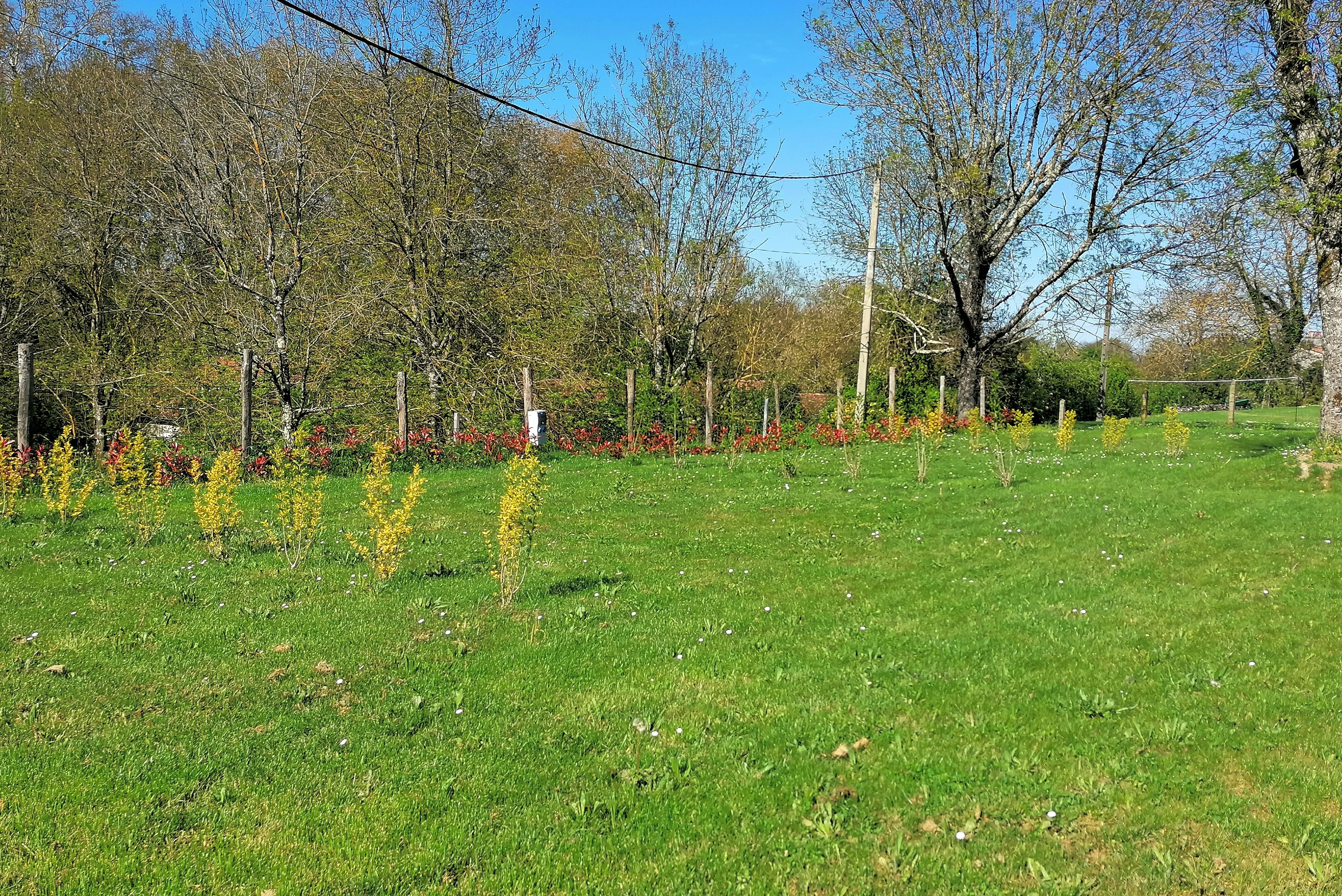Camping de Bourg Charente - Standplatzwiese auf dem Campingplatz