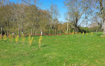 Camping de Bourg Charente