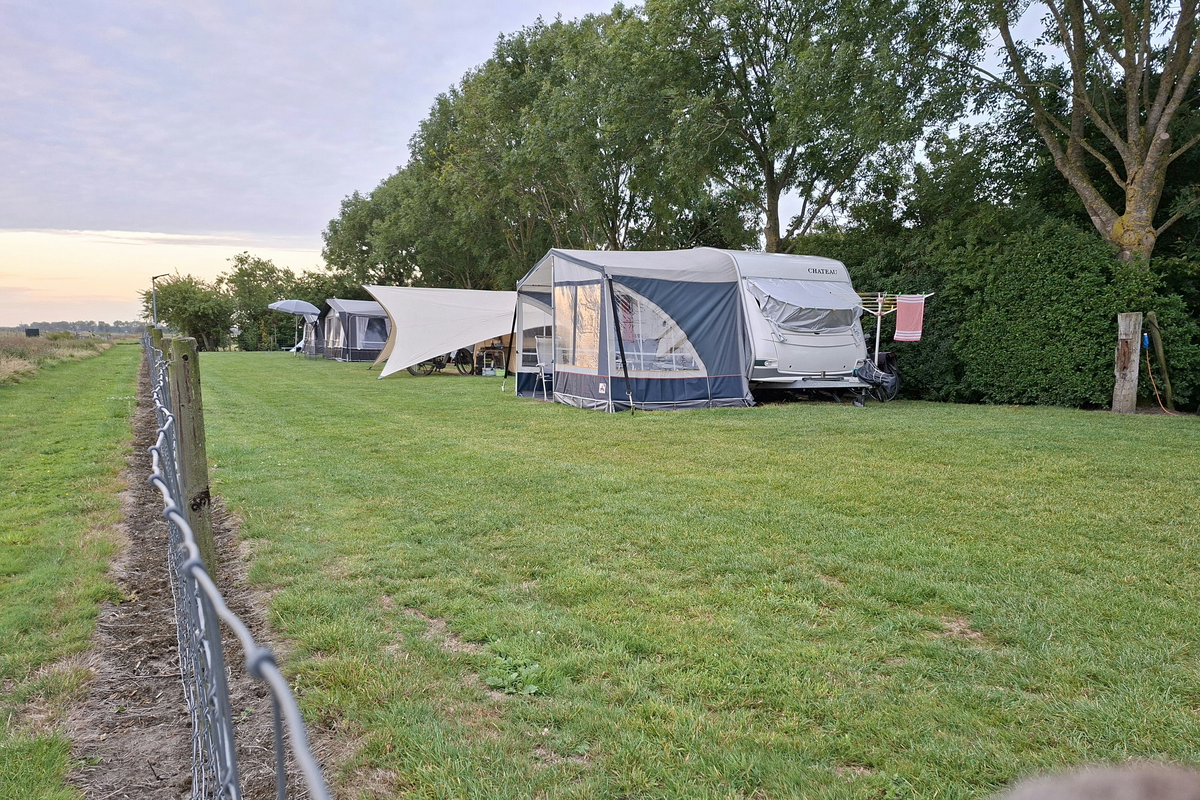 Camping De Brashoeve - Standplatzwiese auf dem Campingplatz