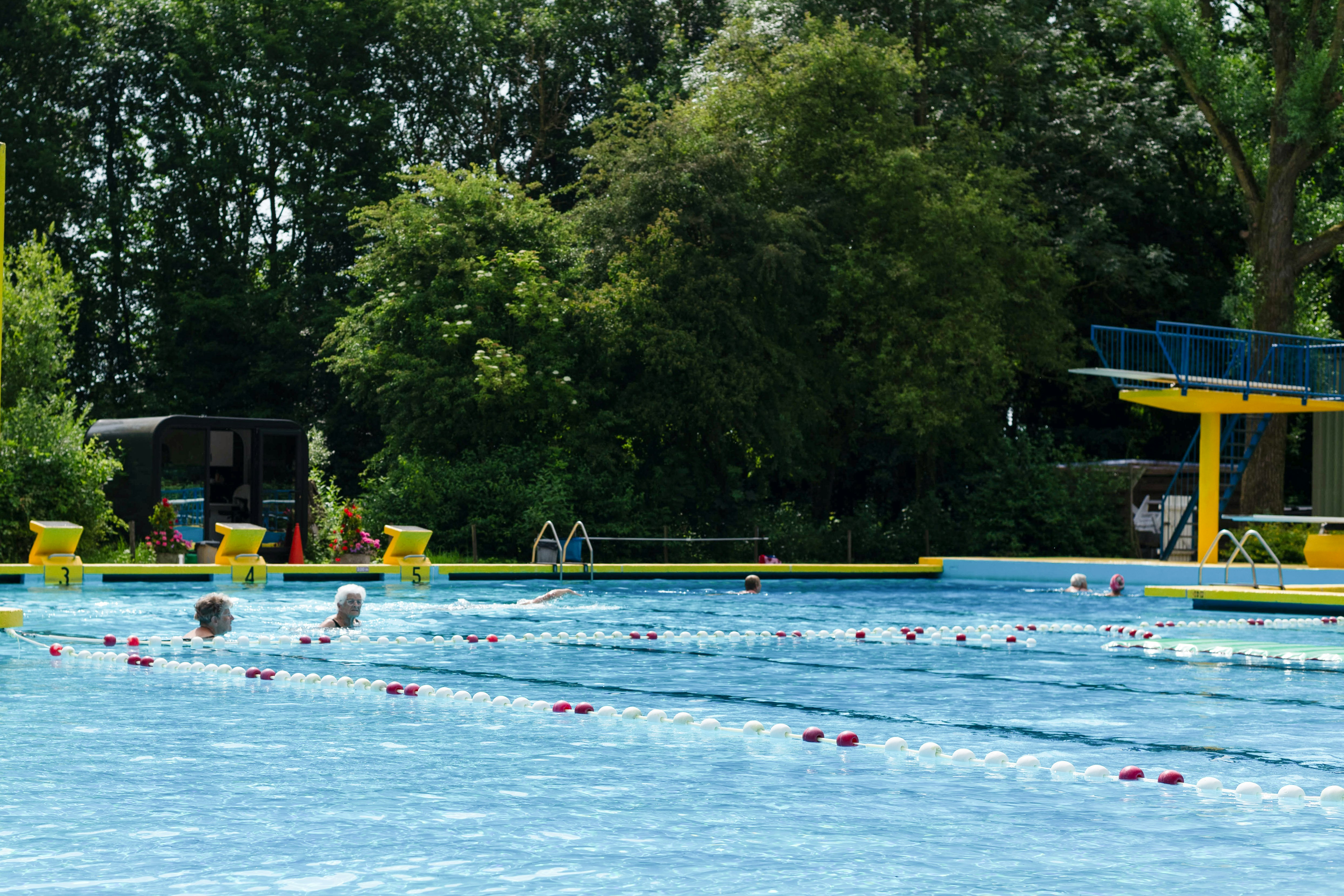 Schwimmbecken mit Bahnen und roten Markierungen, im Hintergrund Bäume und ein gelbes Sprungbrett am Campingplatz.