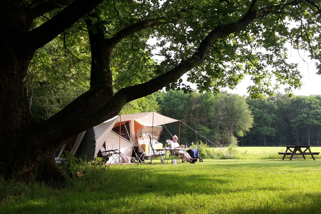 Camping De Bulte - Wohnmobil- und Wohnwagenstandplätze auf der Wiese