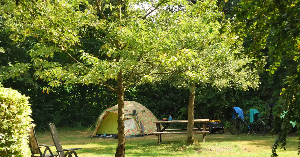 Camping De Bulte photo 4