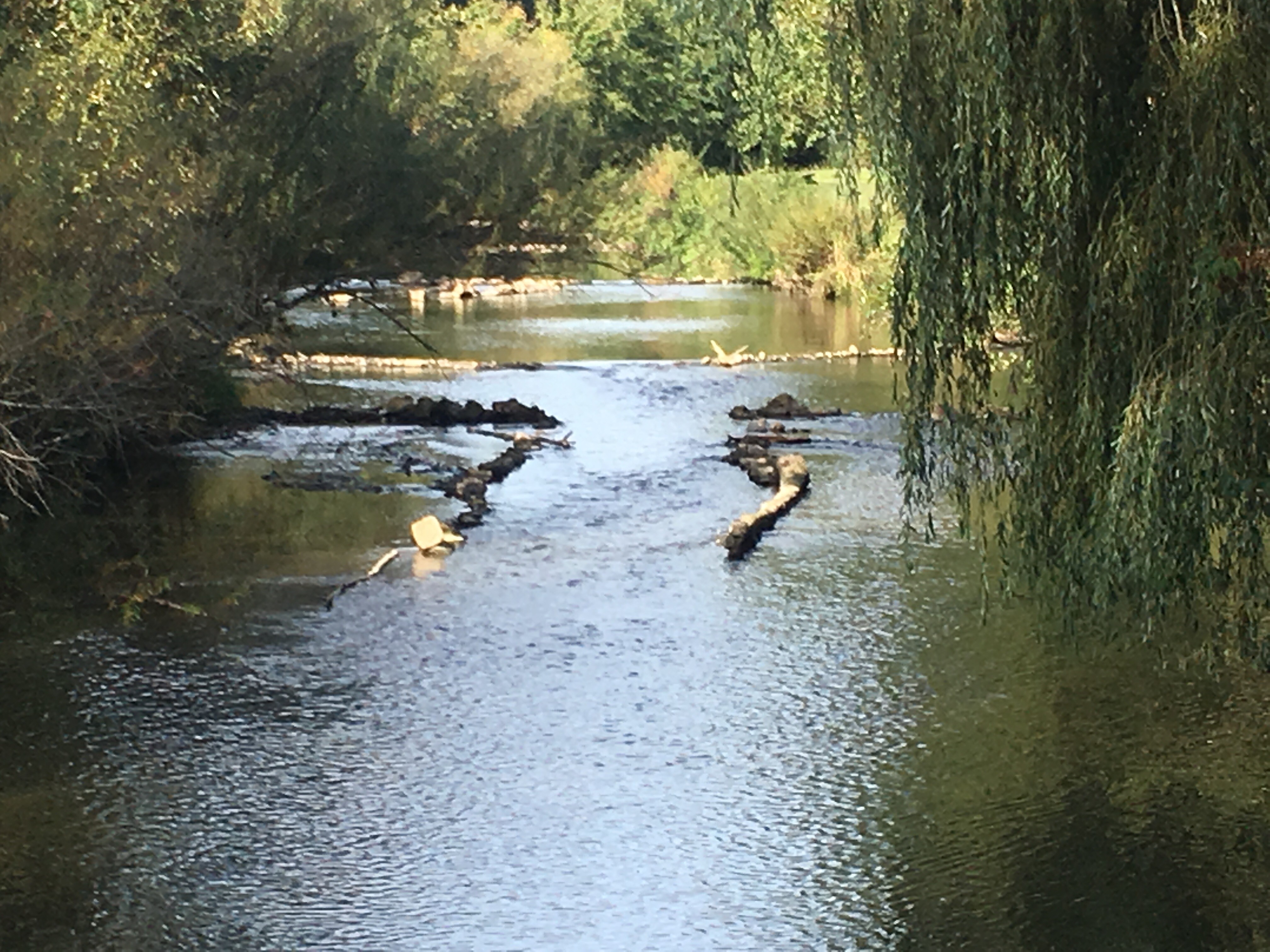 Camping de Chênefleur