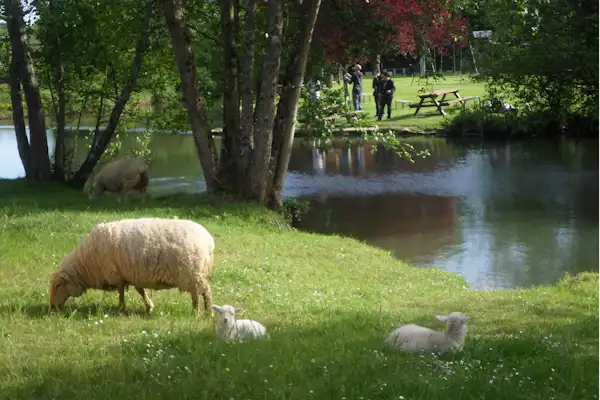 Camping Le Rivage Civraisien