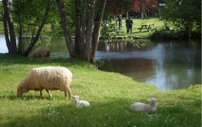 Camping Le Rivage Civraisien