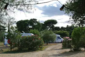 Zufahrt auf dem Campingplatz mit Wohnwagen, weißem Transporter und Kiesweg zwischen Büschen und Bäumen.