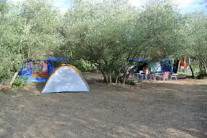 Zelt auf einem Campingplatz zwischen Bäumen, im Hintergrund weitere Zelte und Sitzgarnituren auf dem Kiesboden.