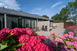 Camping De Couter - Mobilheime Außenansicht Terrasse