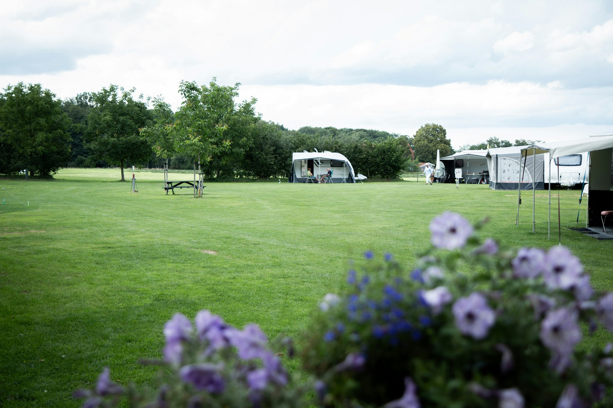 Camping De Dam - Standplatzwiese auf dem Campingplatz