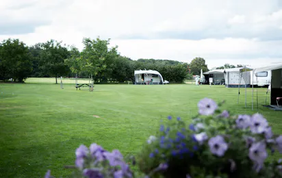 Camping De Dam