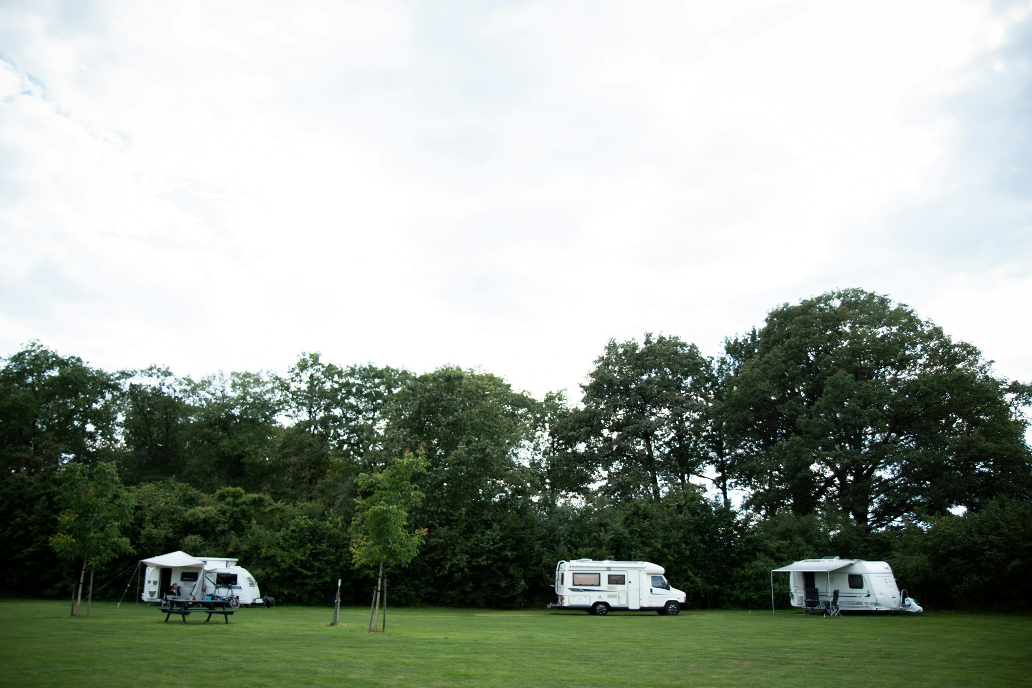 Camping De Dam - Standplatzwiese auf dem Campingplatz