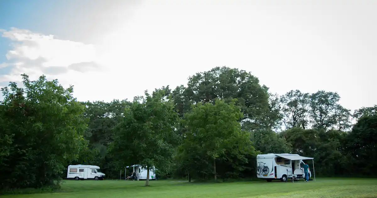 Camping De Dam photo 3