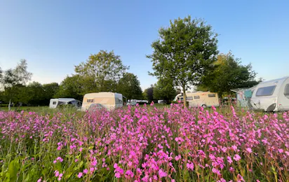 Camping De Deelderij