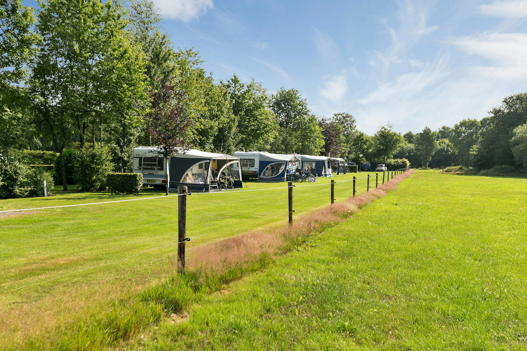 Camping De Deelderij - Standplätze im Grünen auf dem Campingplatz