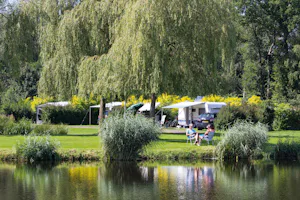 Camping De Drie Provinciën