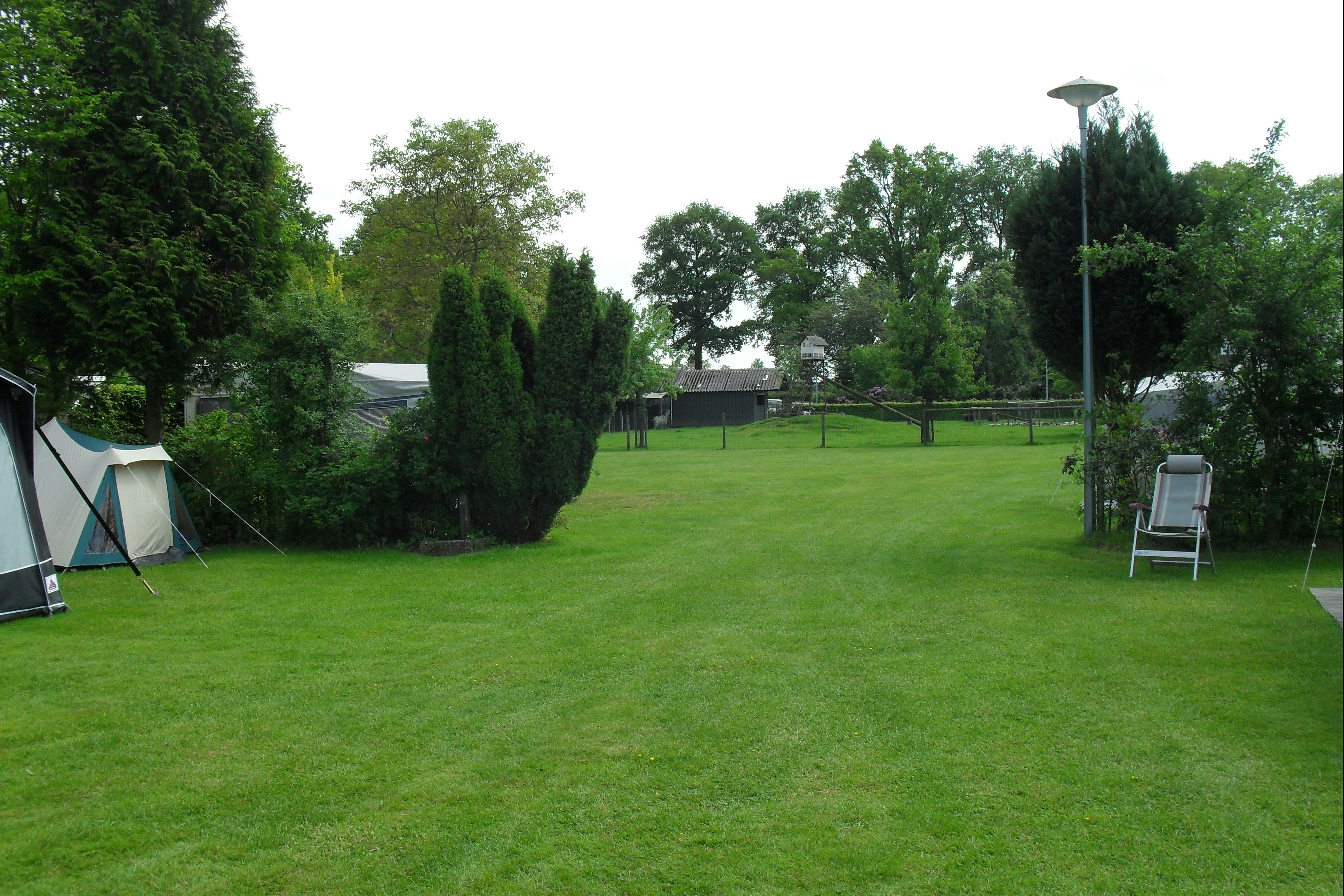 Camping De Eendenkooi - Standplatzwiese auf dem Campingplatz