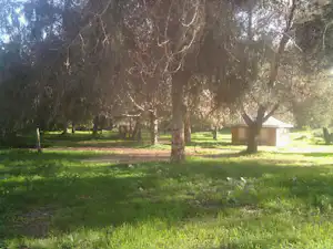 Campingplatz im Grünen mit Rasenfläche, Bäumen und kleinen Holzhäuschen im Hintergrund.