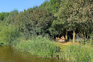 Camping De Finne - Entspannung im Grünen auf dem Campingplatz