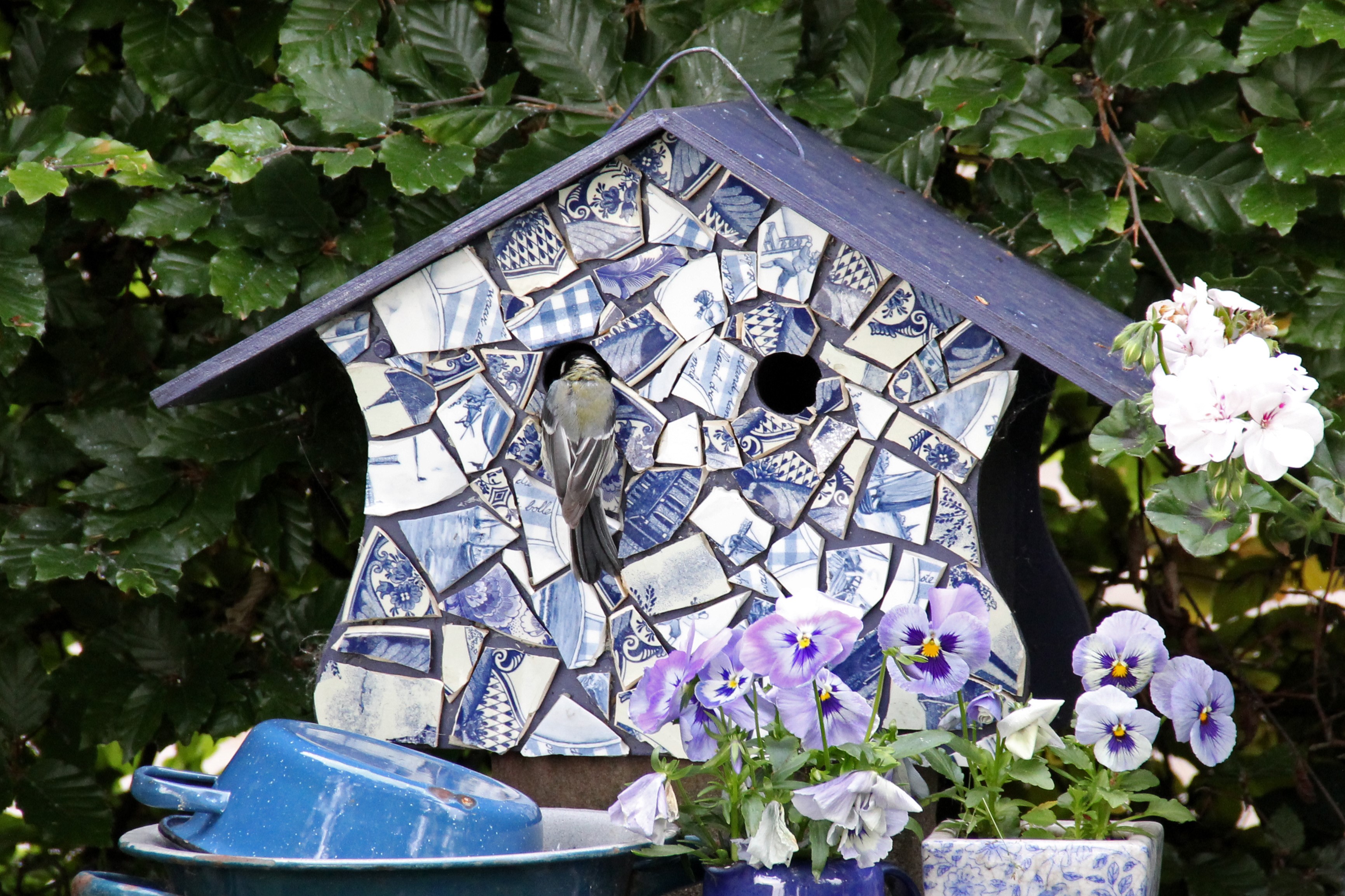 Camping De Ganzenhof