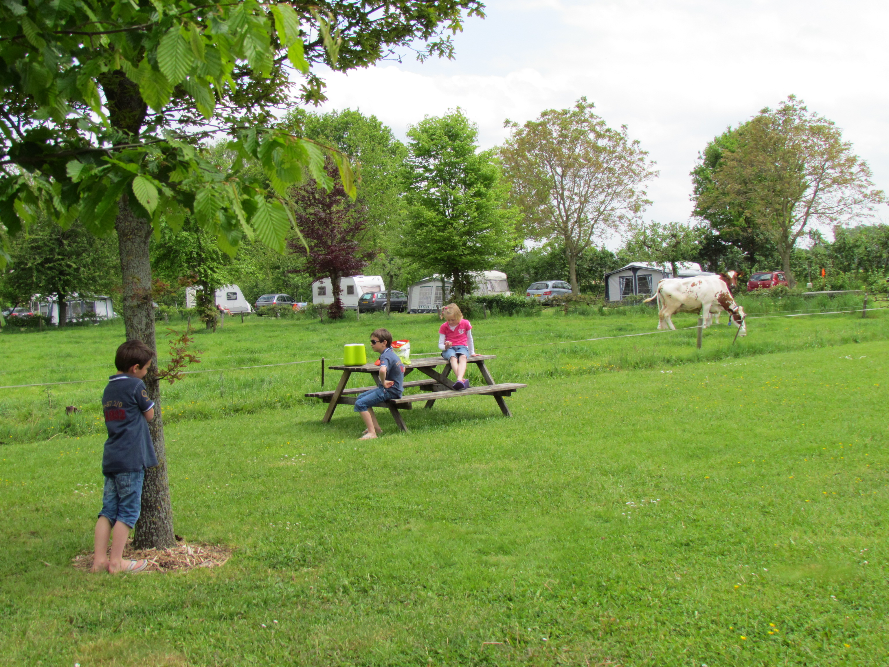 Camping De Ganzenhof