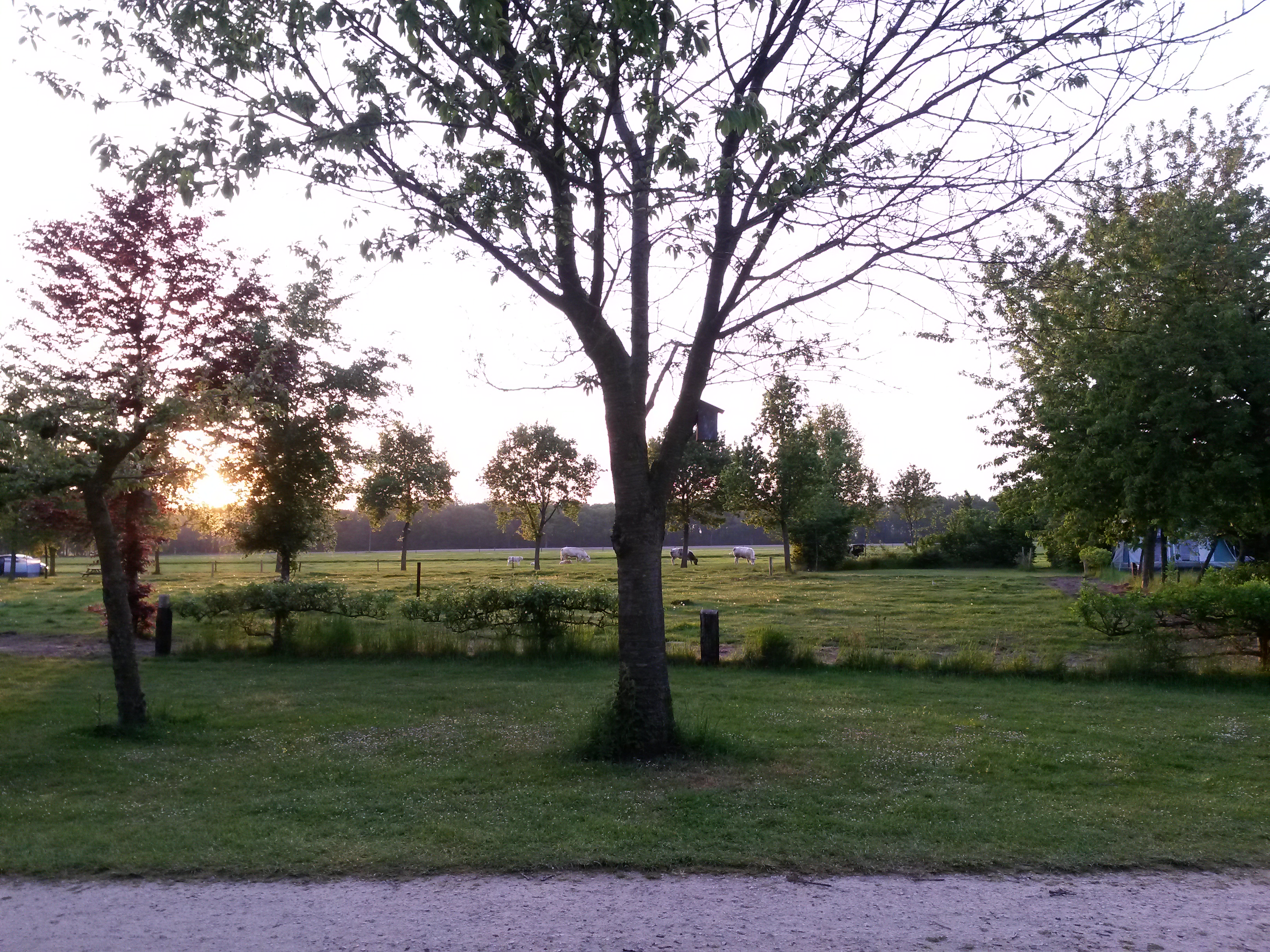 Camping De Ganzenhof