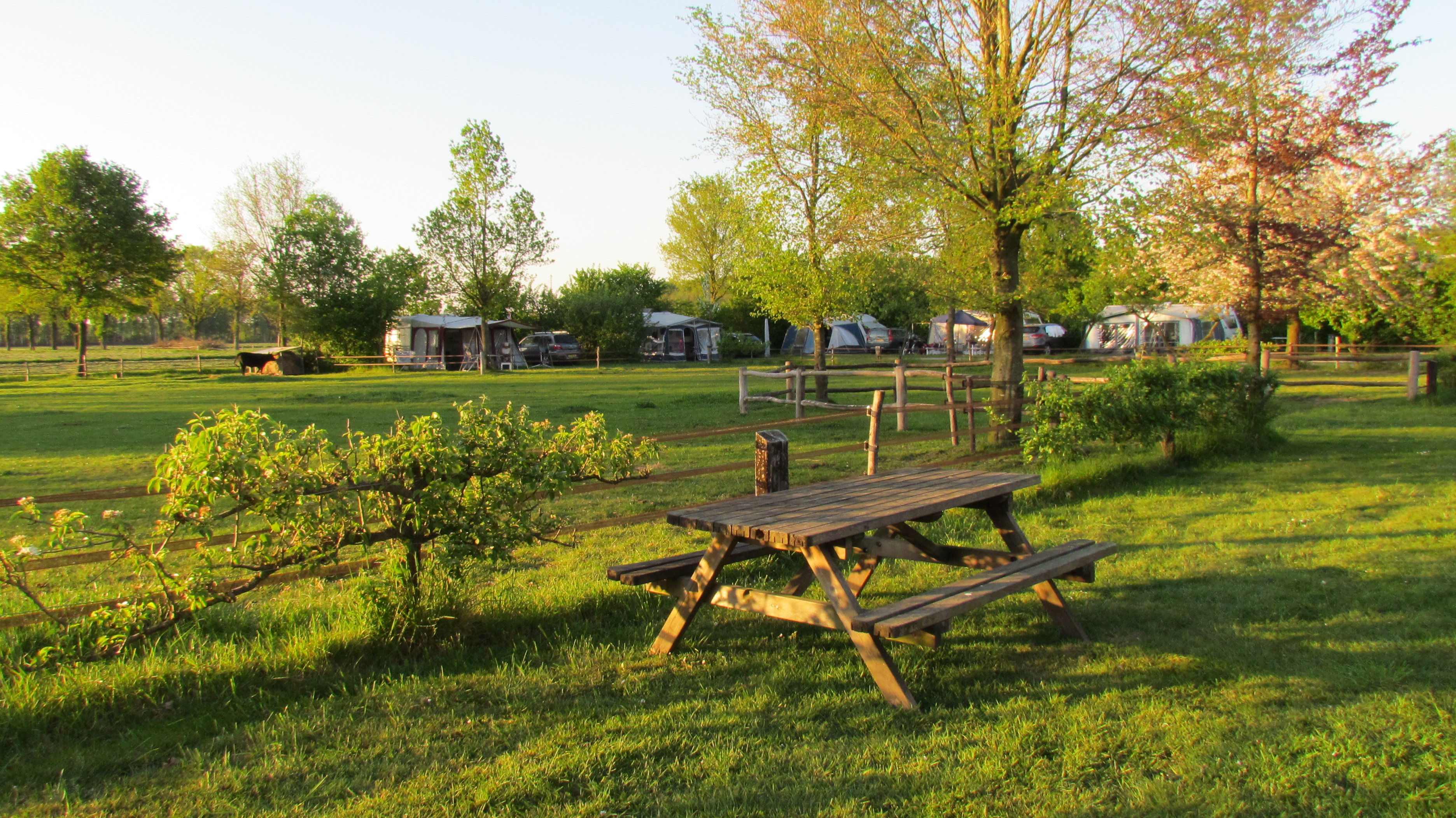 Camping De Ganzenhof