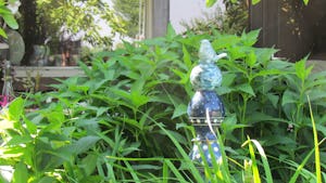 Camping De Ganzenhof