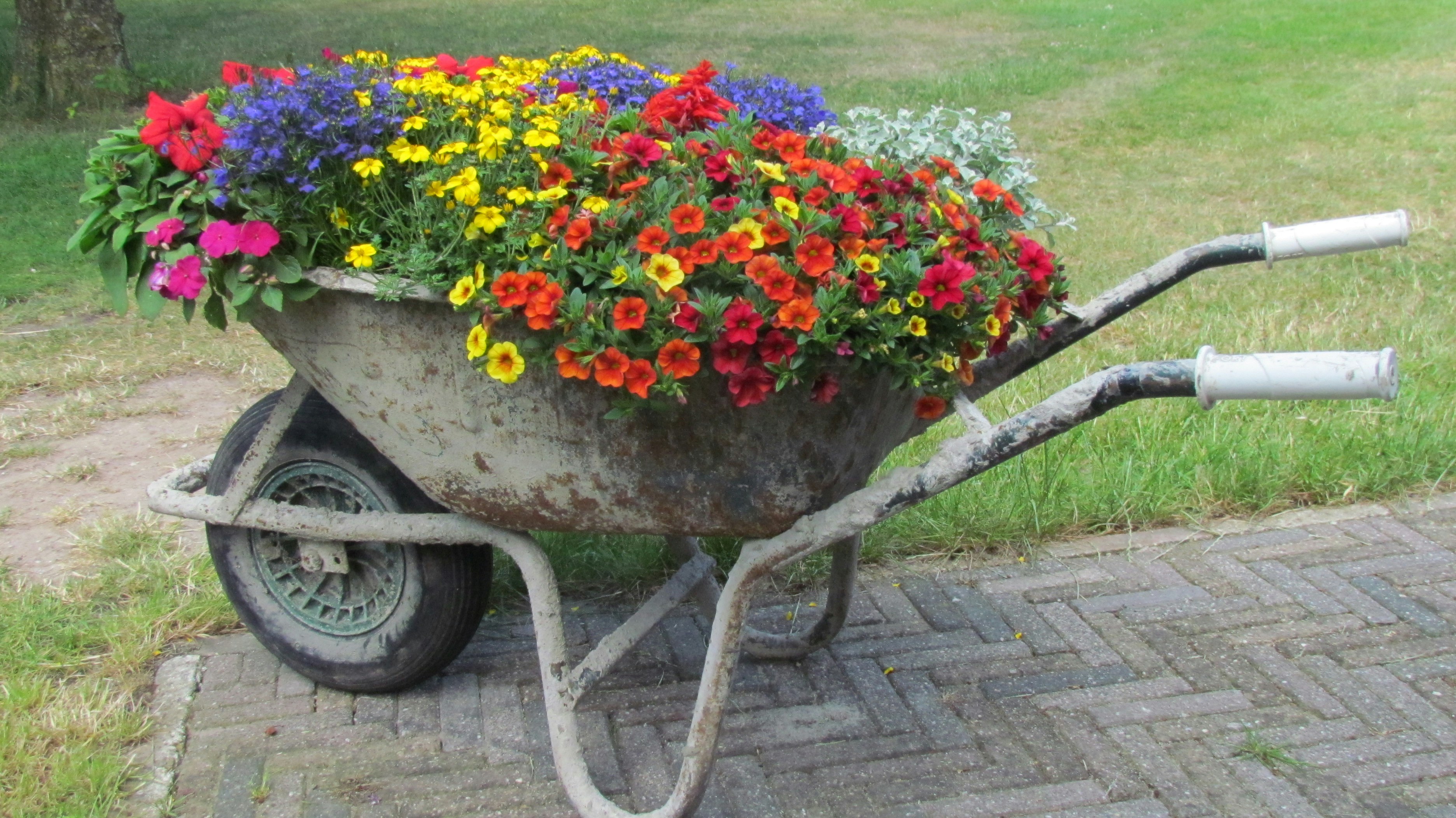 Camping De Ganzenhof