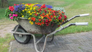 Camping De Ganzenhof