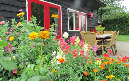 Camping De Ganzenhof