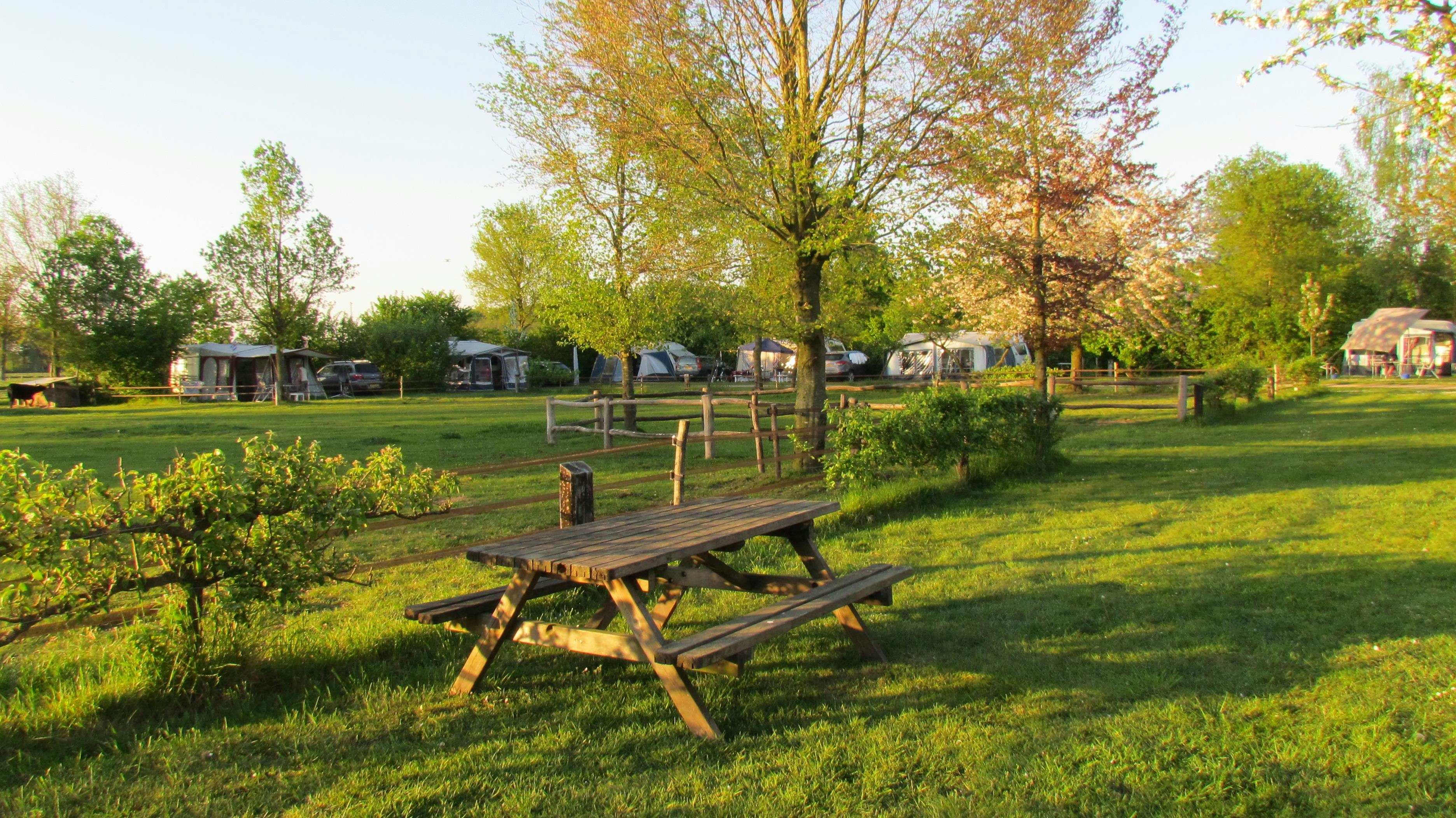 Camping De Ganzenhof