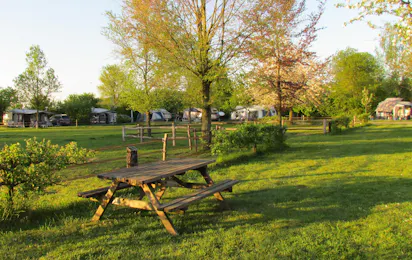 Camping De Ganzenhof