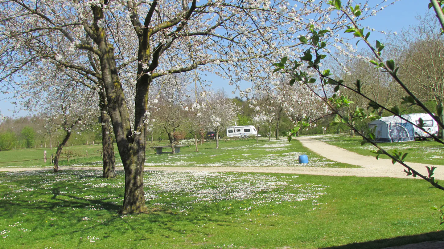 Camping De Ganzenhof