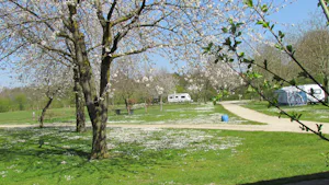 Camping De Ganzenhof