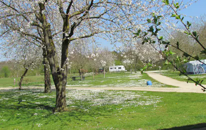 Camping De Ganzenhof