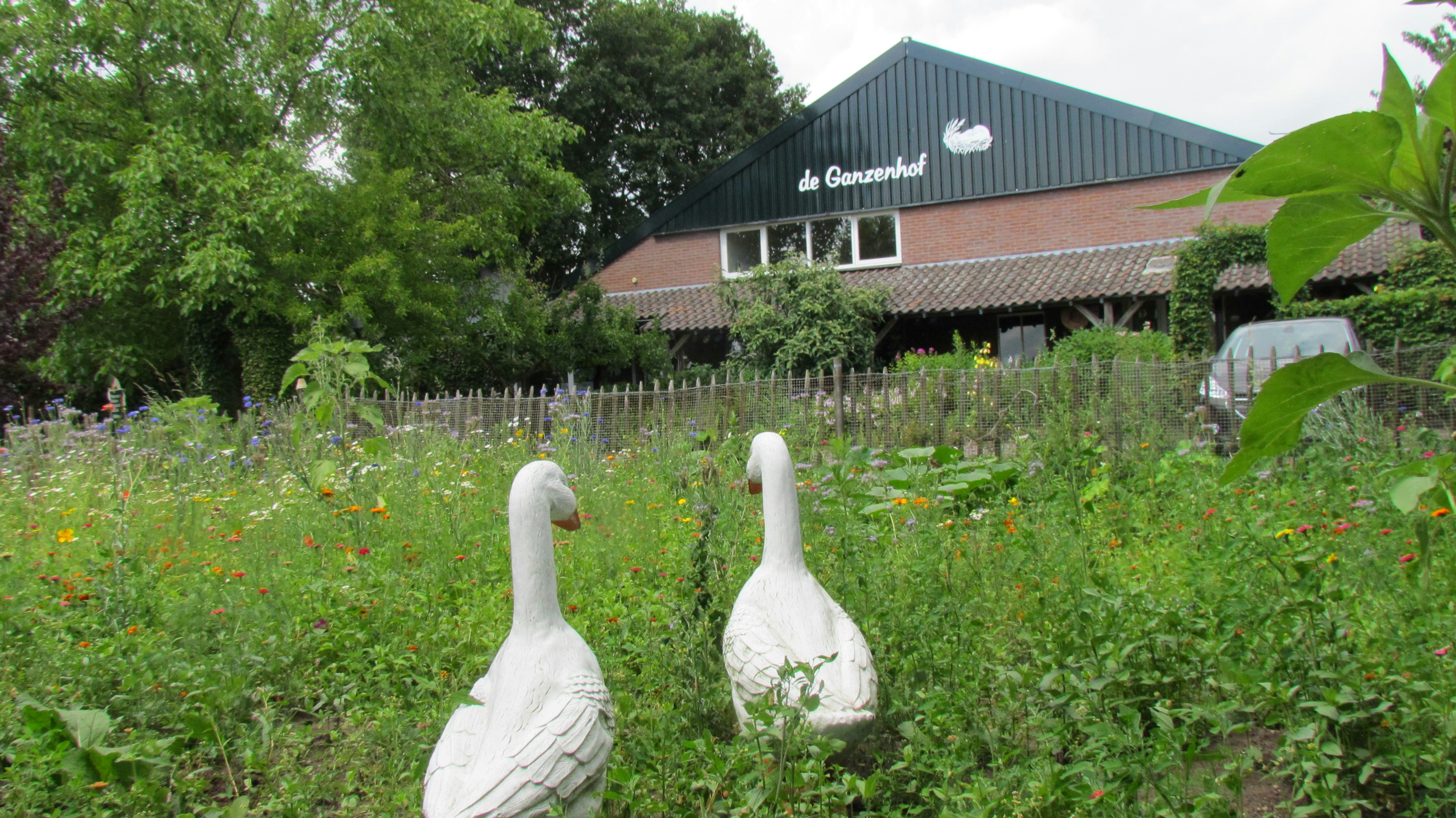 Camping De Ganzenhof