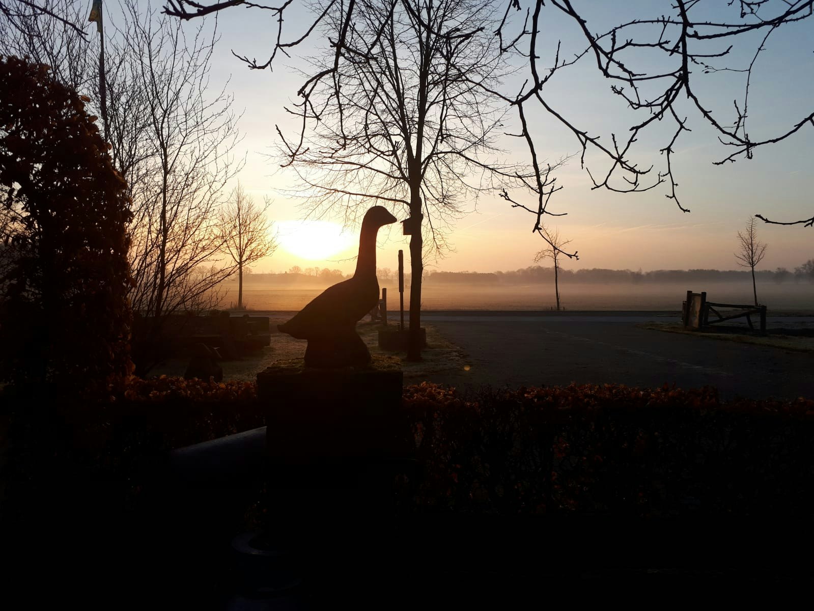Camping De Ganzenhof