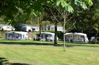 Camping De Goolne Ket'n - Wohnwagen hinter Bäumen auf dem Campingplatz