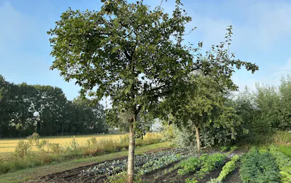Camping de Gouw
