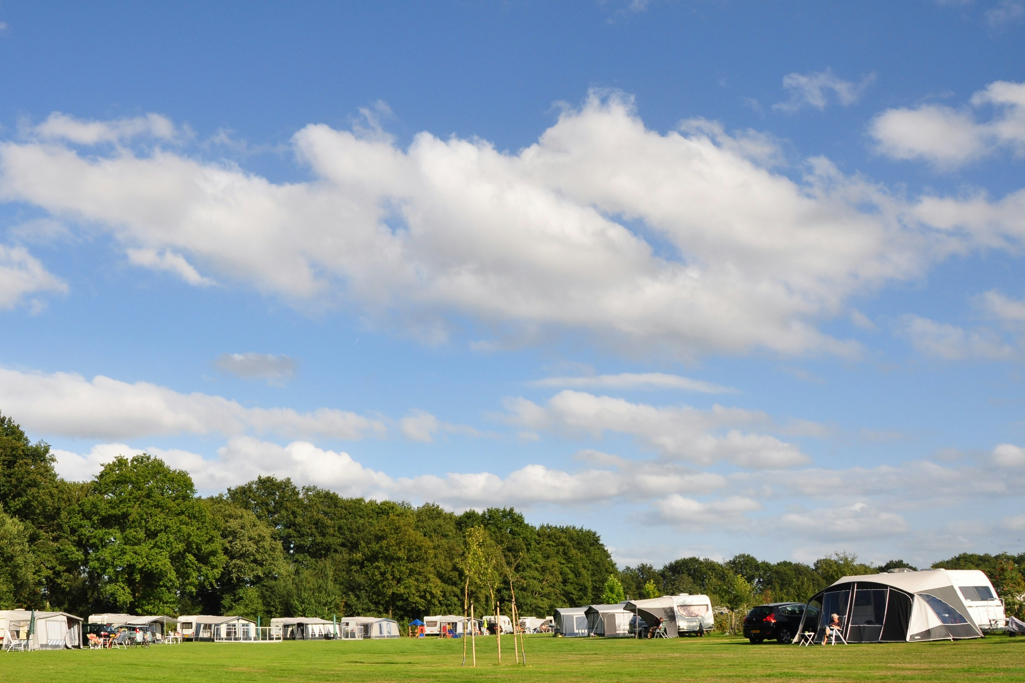 Camping De Grebbelinie - Blick auf die Stellplätze auf dem Campingplatz