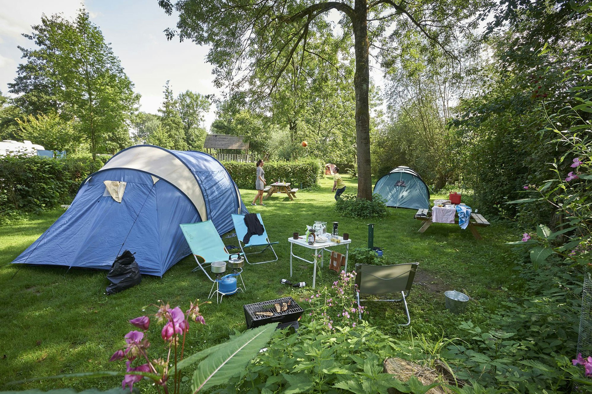 Camping de Gronselenput - Zeltwiese auf dem Campingplatz