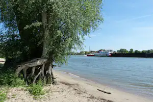 Camping De Grote Altena - Blick auf den Strand